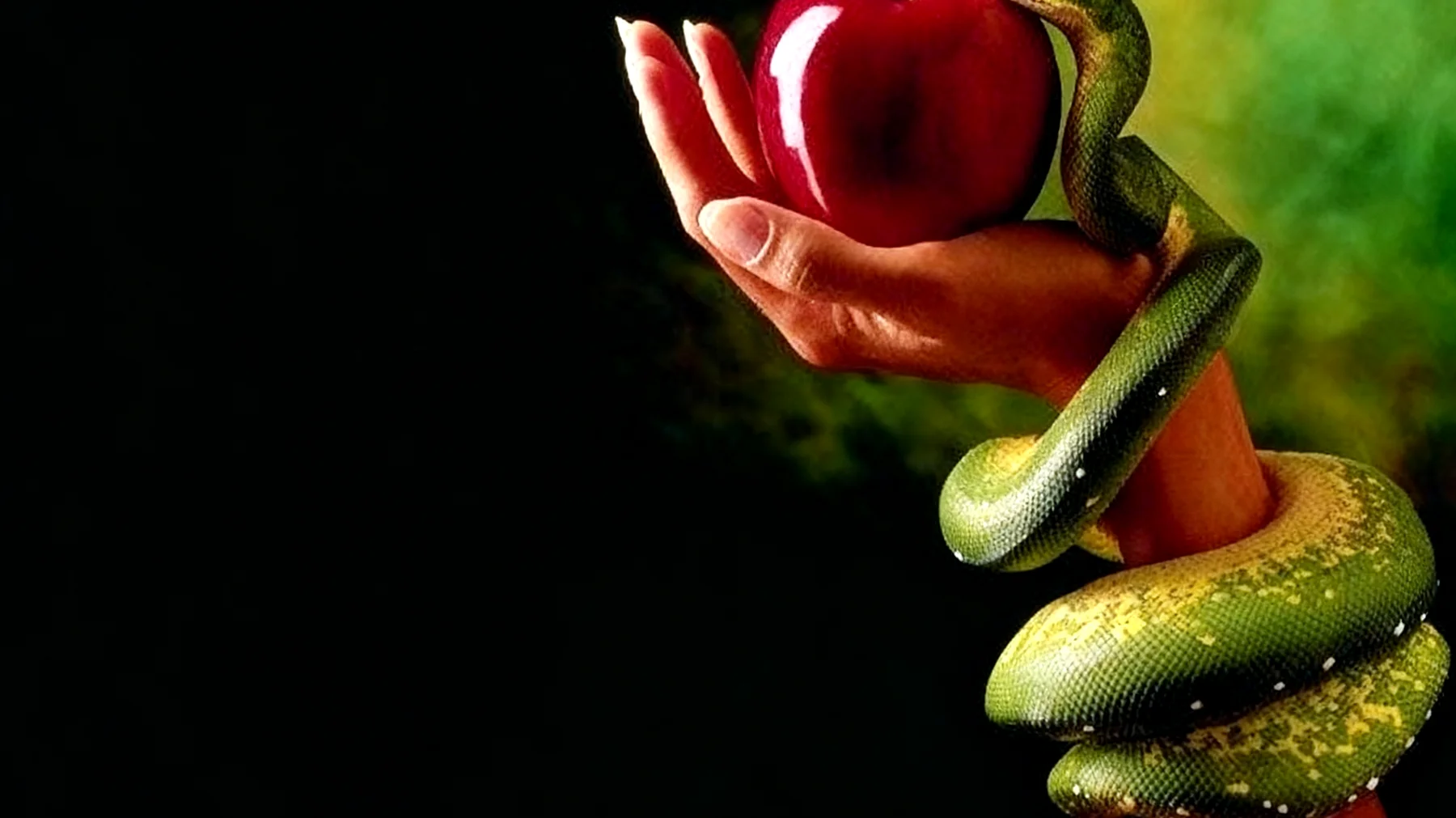 Forbidden Fruit2025-12-16T12:34:01.851Z"