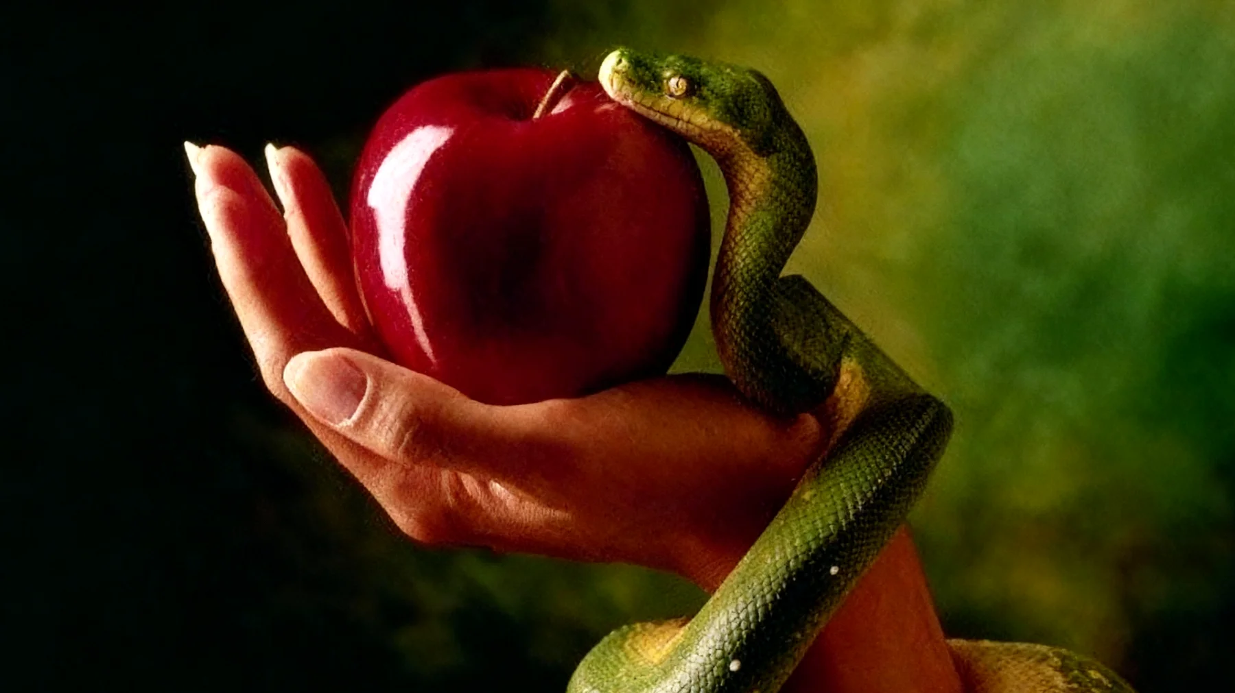 Forbidden Fruit2025-12-16T18:50:56.038Z"