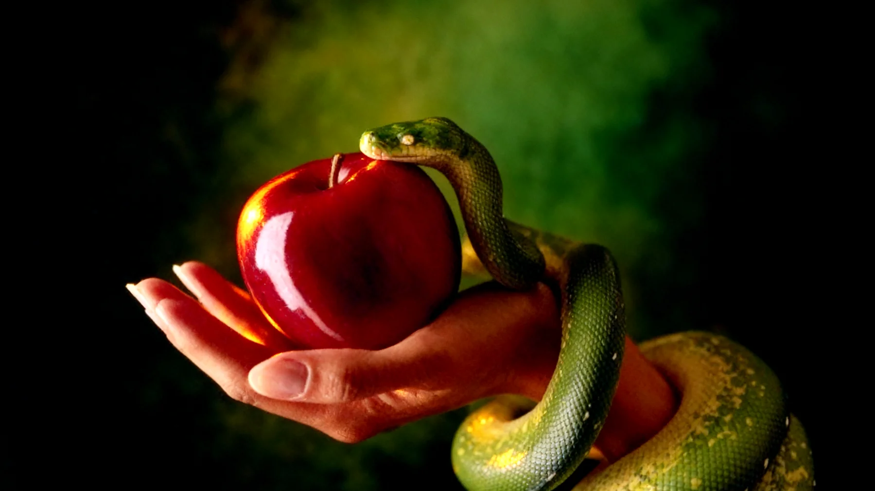 Forbidden Fruit2025-12-20T18:54:55.255Z"